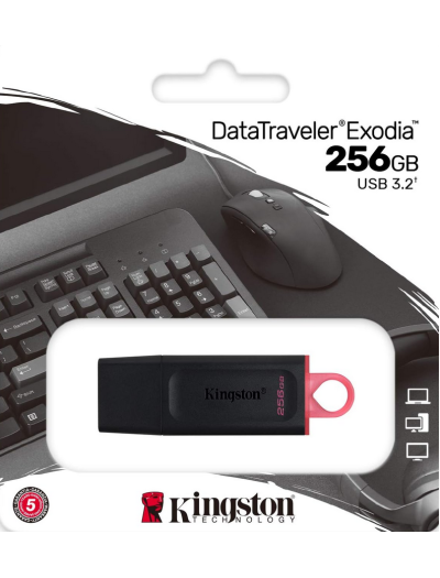 Kingston 256GB USB 3.2 Flash Drive 